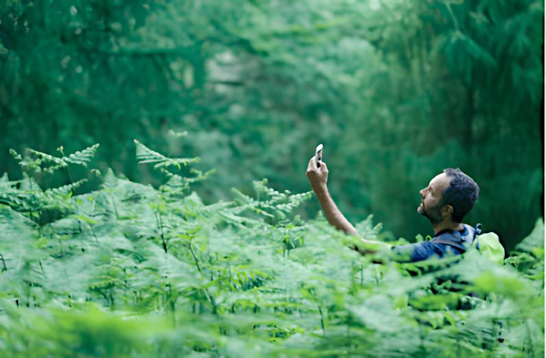 A man wearing a backpack stands among tall, dense green ferns in a forest, holding his smartphone high in the air as if searching for a network connection.