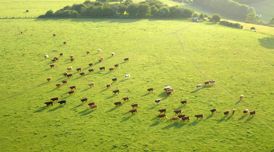 Billions Served: 5G Nanosatellites to Extend Global IoT Footprint