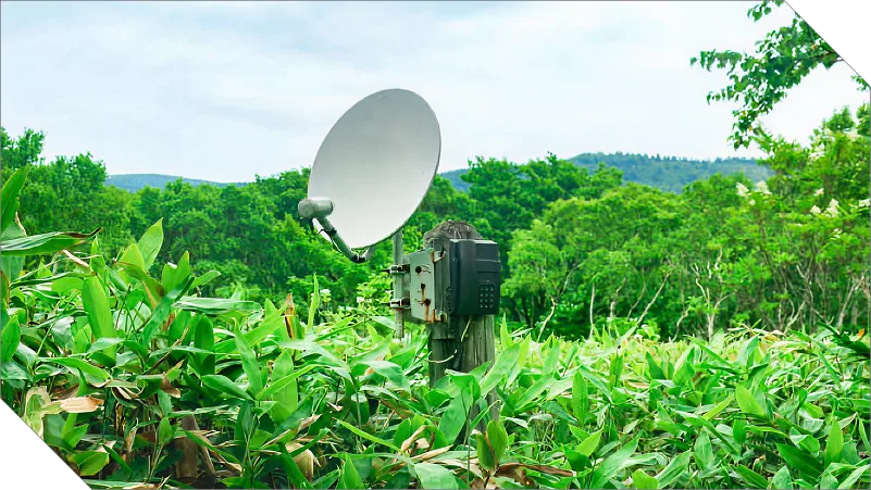 SatGuard - Image 01